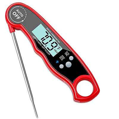instant read thermometer for perfectly done salmon